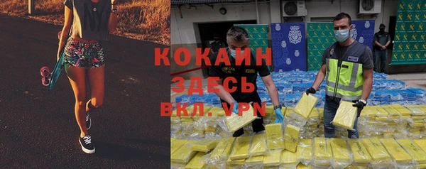 гашиш Богданович