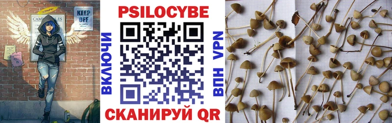 Псилоцибиновые грибы Psilocybine cubensis  где купить   Белозерск 