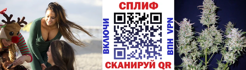 Бошки Шишки конопля Белозерск